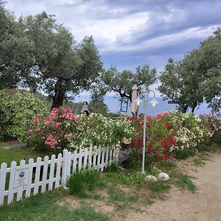 Villa Pierina Finale Ligure Zewnętrze zdjęcie