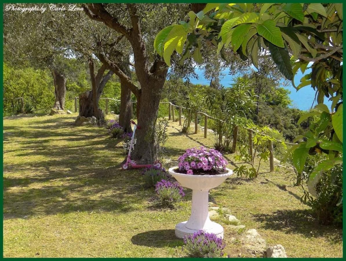 Villa Pierina Finale Ligure Zewnętrze zdjęcie