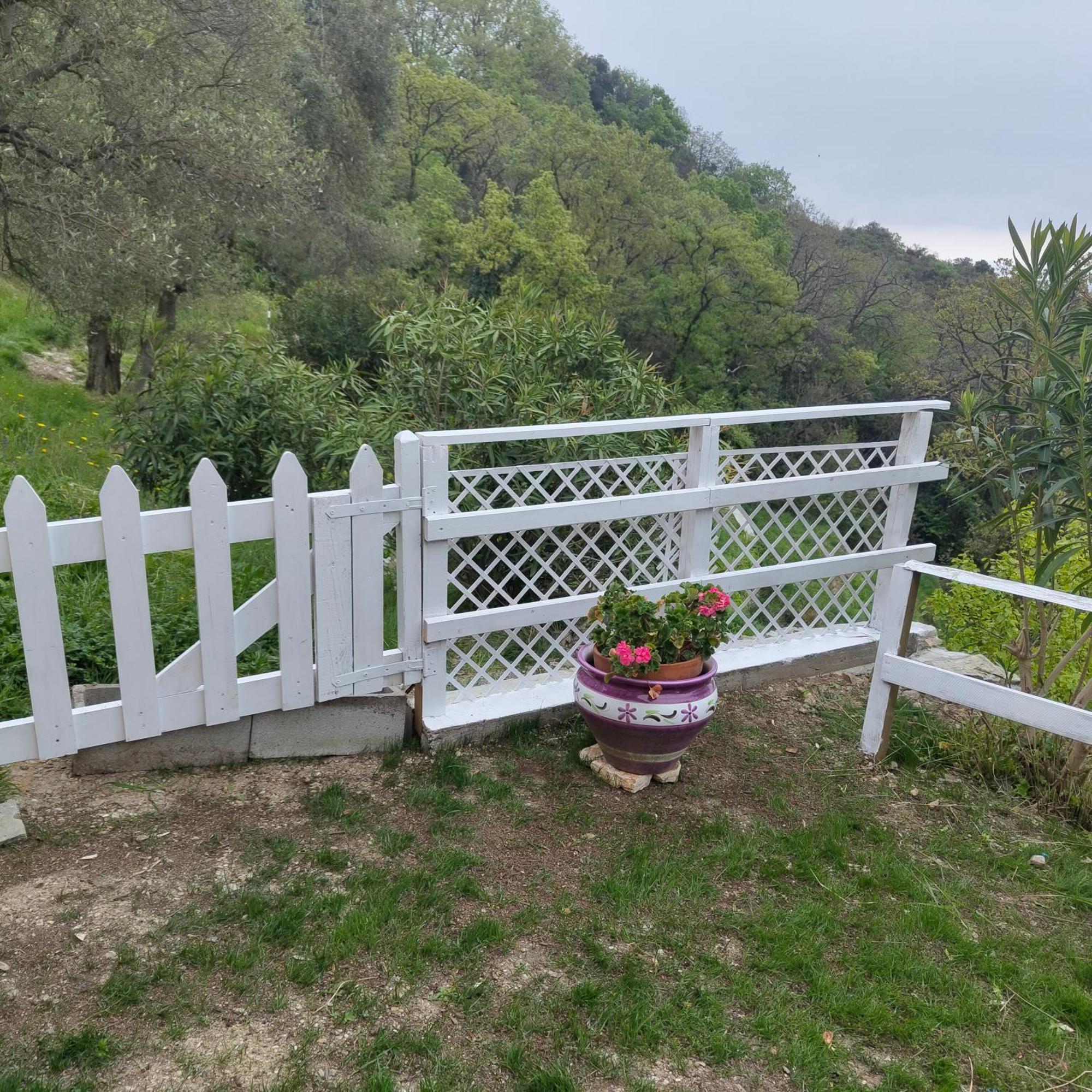 Villa Pierina Finale Ligure Zewnętrze zdjęcie
